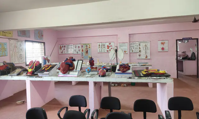 Organ models on display in the Pre-Clinical Laboratory